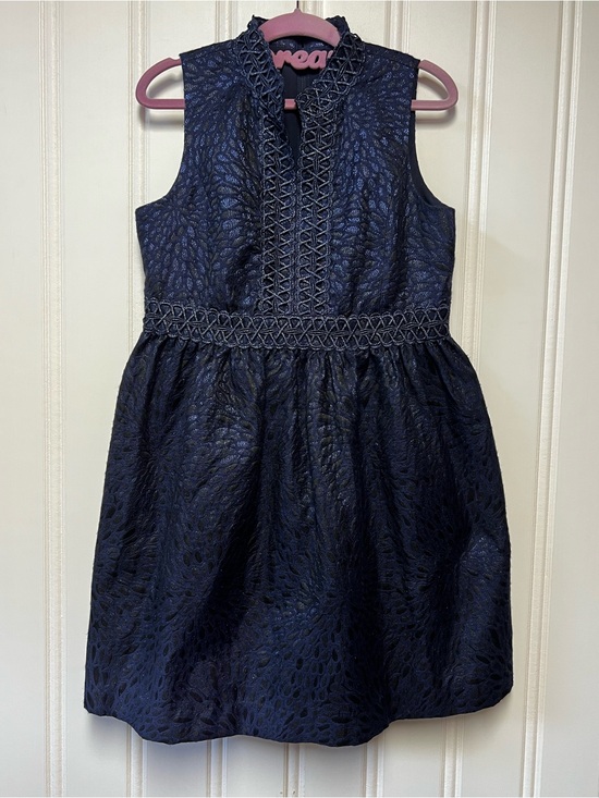 Lilly Pulitzer Other - Lilly Pulitzer Girls Mini Franci Dress Navy Lagoon Jacquard Metallic Size 14